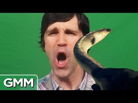 Eel Slap to the Face