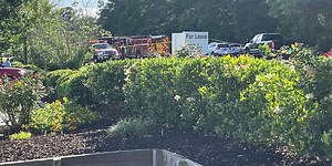 Coroner identifies victim in Saturday afternoon West Ashley crash