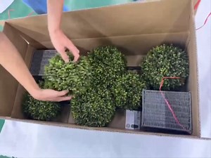 48 Inch Artificial Boxwood Topiary Tree 2 Pack Faux Boxwood for Outdoor Planters Topiary Trees Artificial Outdoor Artificial Plant Shrub for Front Porch Home Office Decor…… (1, 3.9FT)