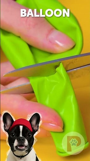 DIY Dog Shoes with Balloons Tutorial #hack #pet #dog