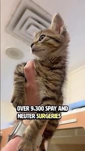 Help Combat Overpopulation | Paws for a Minute