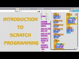 Scratch Programming: Detailed Explanation Video Lecture | Computer Application: Class 10