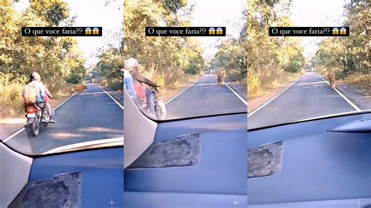 Tygr nás přinutil změnit trasu