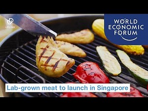 Lab-grown meat approved for sale in Singapore | UpLink