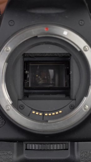 ISO fundamentals #iso #cameratutorial #phototips #photographytips #howtophotograph #howtophotography #photographytricks #fyp #cameratips #4u