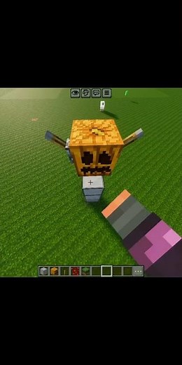 Minecraft viral pumpkin head hack! 🤯