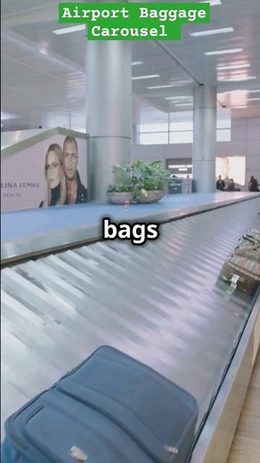 Airport Baggage Carousel