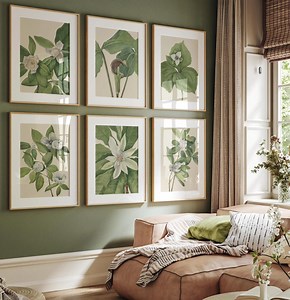 Vintage Floral Botanical Gallery Wall Set of 6, Vintage Magnolia Flower Prints, Green Botanical Printable Art, Spring Green Wall Art Decor - Etsy