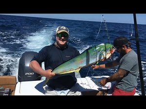 Georgia Gulf Stream Fishing Trip from St Simons Island - LOADED the fishbox!