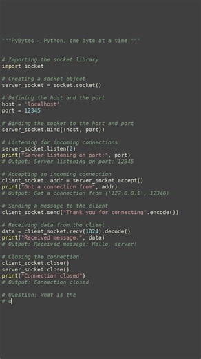 socket programming basics #python #showcase