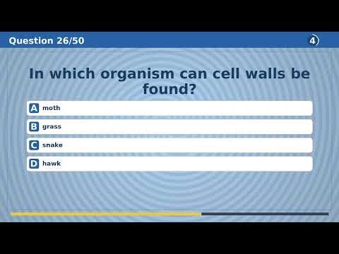 Brain Test: 50 Trivia Questions