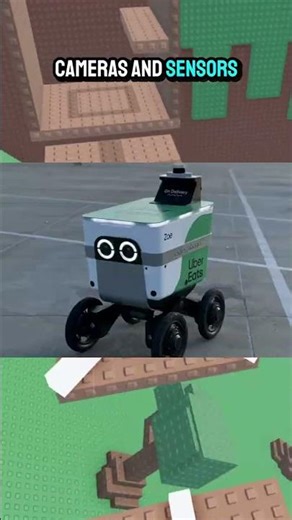 The Delivery Disaster Caught on Camera! #roblox #rblx #robot