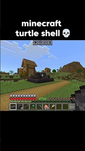 Minecraft Turtle Shell 💀 #minecraft #shorts