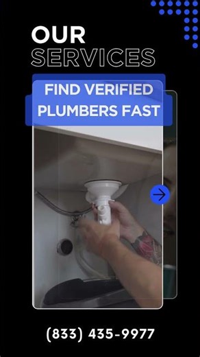Professional plumbers near me
