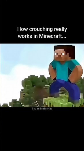 How crouching really works in Minecraft...🫪