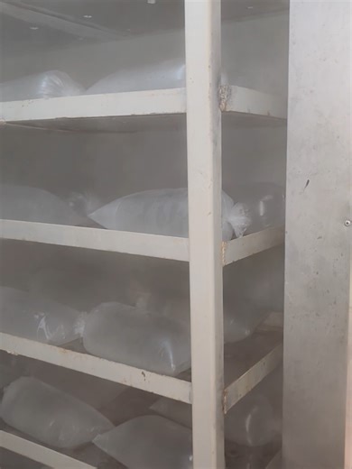 Ice Block Machine & Solar Cold Rooms by Akpo Oyegwa