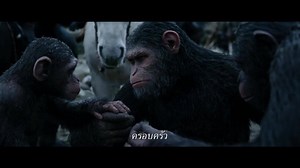 137K views · 6.8K reactions | ซีซาร์กับตัวอย่างล่าสุด #WarforThePlanetofTheApes "มหาสงครามพิภพวานร" ผลงานภาคต่อเข้าฉาย 13 ก.ค.นี้ในโรงภาพยนตร์ #warfortheplanet | Major Group | Facebook