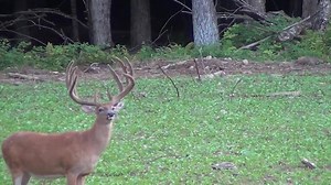 6.4K views · 846 reactions | 2016 scouting footage! The Biggest, Most...