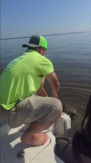 HVAC Technician shows the best way to clean Evaporator Coils