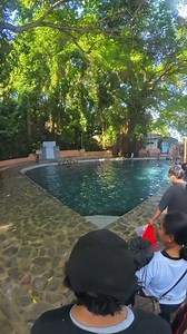 697K views · 10K reactions | Molobolo Spring in Tuburan Cebu | PaQs Gaming | Facebook