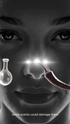 What if humans evolved to smell instead of see? | Alternate Evolution