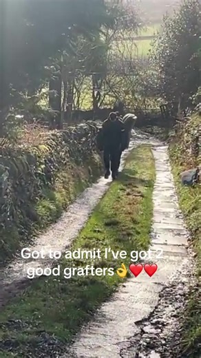 Celebrating Hard Work in Youthful Grafters