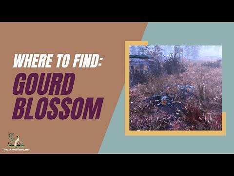 Where to find and how to farm for Gourd Blossoms in Fallout 76