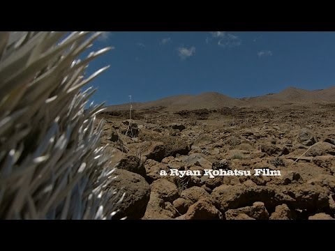The Wild Sheep of Mauna Kea : A Hunting Story [FULL]