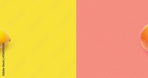 Creative animation made of lemon and grapefruit moving on the pink and yellow background. Animation concept food.