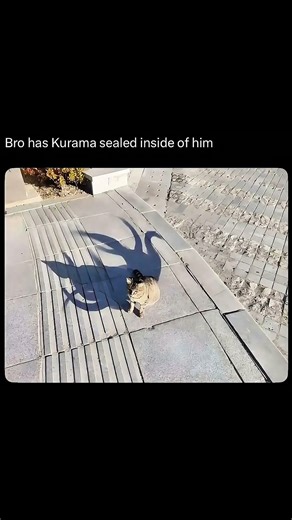 Mini version of Ninetail beast ☠️ #anime #viral #shorts