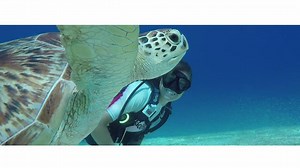 Discover Club Paradise Palawan! #ClubParadisePalawan #CPMyHappyPlace | Discovery Coron