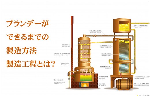 【入門編】ブランデーの作り方・製造方法・製造工程とは？