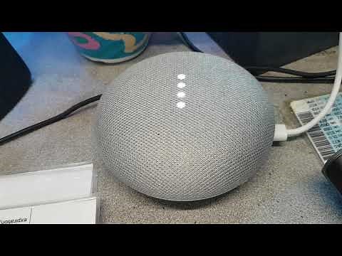 Google assistant - are you feeling lucky?