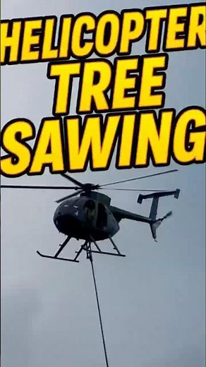 Helicopter Tree Sawing in Action! | Extreme Precision Logging #Shorts