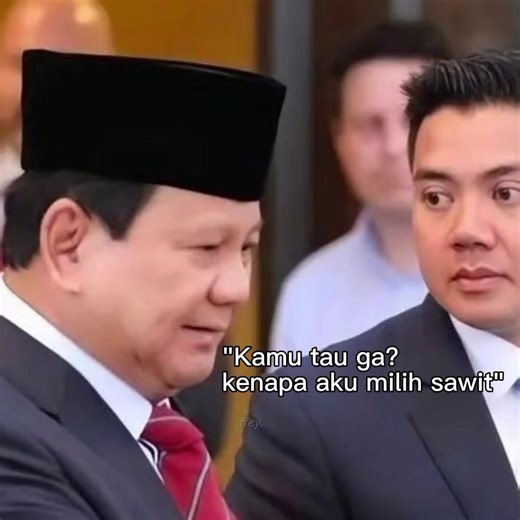 Creative Memes on Political Themes