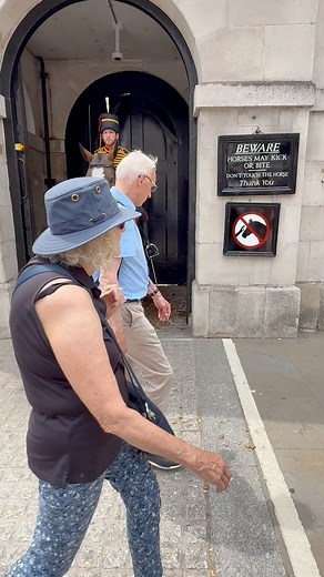45K views · 529 reactions | Crossing the Line? Guard Says ‘Out the Box! #OutTheBox #KingsGuard #HorseGuardsParade #RoyalGuard #RespectTheGuard #TouristFails #LondonRules #GuardReaction #BritishTradition #FBReelsUK #ViralVideo #RoyalMoments #SentryBoxRules #LondonTourism #EpicReels #HistoricLondon | King’s Guards Fans | Facebook