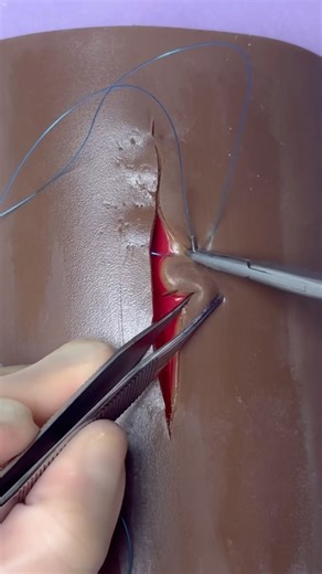 Hidden Intradermal Sutures 😷 #goodtoknow #surgeonlife #suturing #funfacts #stitches #vet #medicine