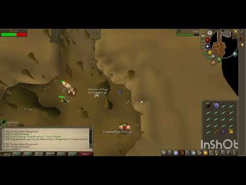 OSRS Tips and Tricks 2025 Edgeville Dungeon