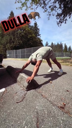 (DULLA BAGGA)balvir singh (@dullabagga3)’s video of Dulla Camel