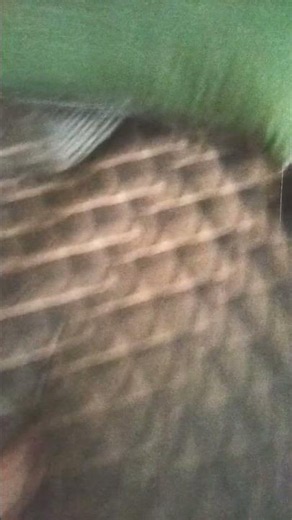 is actually real looking that's ai that's real that's a crazy challenge