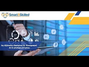 Les dimensions du Management : les organisations