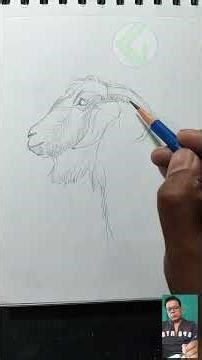 goat head drawing easy step by step #drawing #art #sketch #easydrawing #shortsvideo #shorts #goat