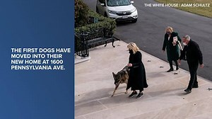 4.5K views · 120 reactions | President Joe Biden's dogs, Champ and Major, have moved into the White House. | WRTV | Facebook