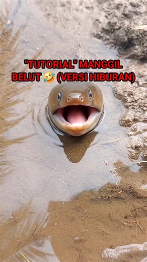 Manggil Belut di Sawah Cuma di tunjuk 🤣 Tutorial Versi Hiburan☝️