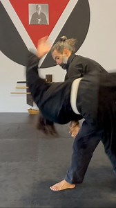 32K views · 470 reactions | Aikido Flow at Zenbu Dojo ⛩️ #martialfusion https://martialfusion.com | Guillermo Gomez | Facebook