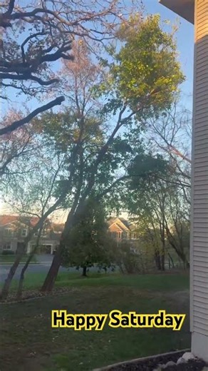 #video #viralvideo #landscape #viralshorts #facebook #tiktok #comedy #cooking #realestate