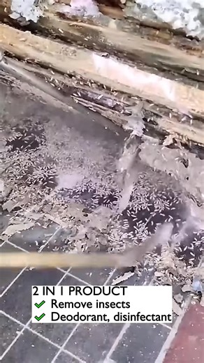 🏠 KEEP YOUR WOODEN FURNITURE SAFE & LONG-LASTING. 💡 Spray Japanese Termite Spray regularly to: ✅ Prevent termites from eating through cabinets and wooden frames ✅ Stop pest infestations before they cause expensive damage ✅ Keep your home clean by eliminating ants, roaches & bed bugs ✨ One spray = total protection for your home. | Yunole OfficiaI