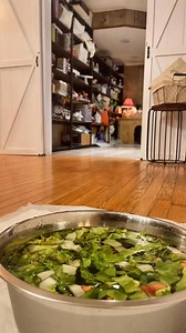 Feets and lips smacking good❤️ #pet #asmr #asmrsounds | Jen Dowe | Facebook