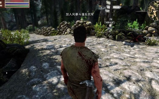 分享一个Nordic UI - Interface Overhaul的汉化