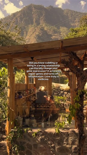 samira sandner 🜄 conscious lifestyle & health coaching on Instagram: "Not only in a poetic sense, but on a cellular level. When you feel safe, held, and loved, your nervous system shifts out of survival. Stress hormones decrease, inflammation calms, and repair genes are activated. Cuddling, touch, emotional safety, and deep connection don’t just feel good. They send a signal to your body that it’s safe to heal. Love also supports: • deeper sleep and better recovery • balanced hormones and emoti